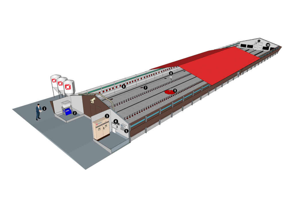Volailles de chair_Longitudinale Mixte